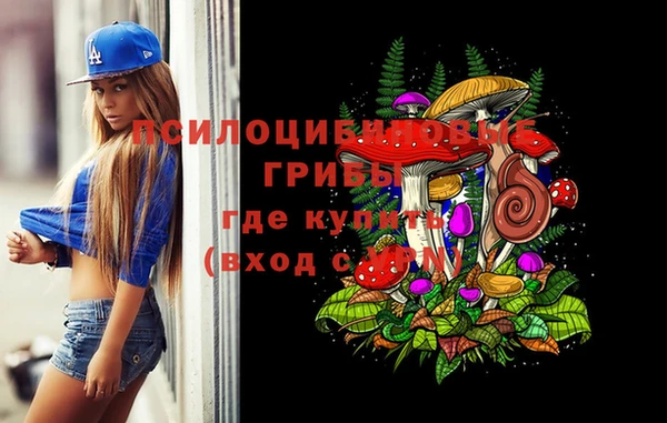 молекула духа Армянск