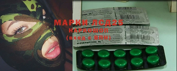 меф Арсеньев