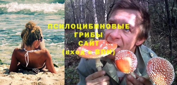 соль ск Алзамай